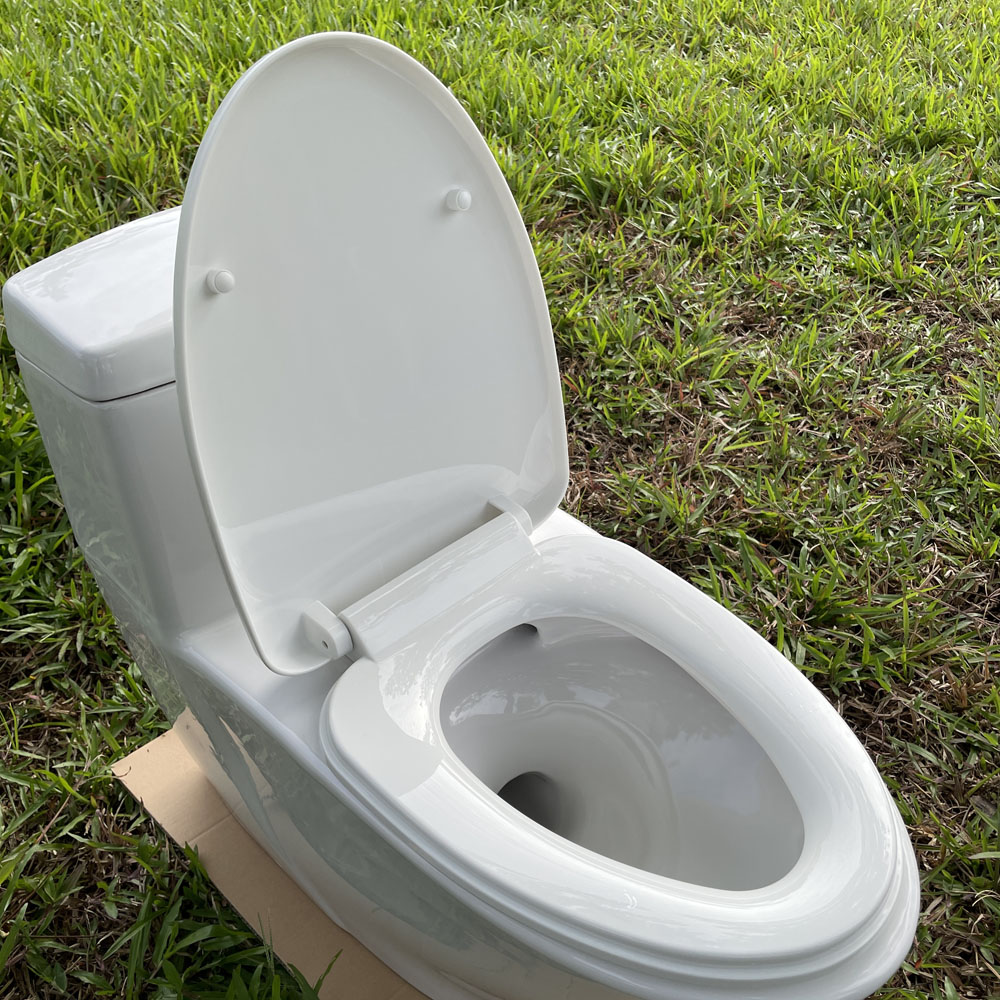 Bồn cầu 1 khối dòng Projectline GROHE 39316000 39316000 - 6