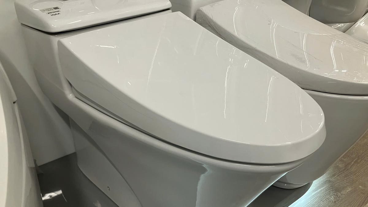 Nắp bồn cầu INAX CF-1008VS/BW1 CF-1008VS/BW1 - 2