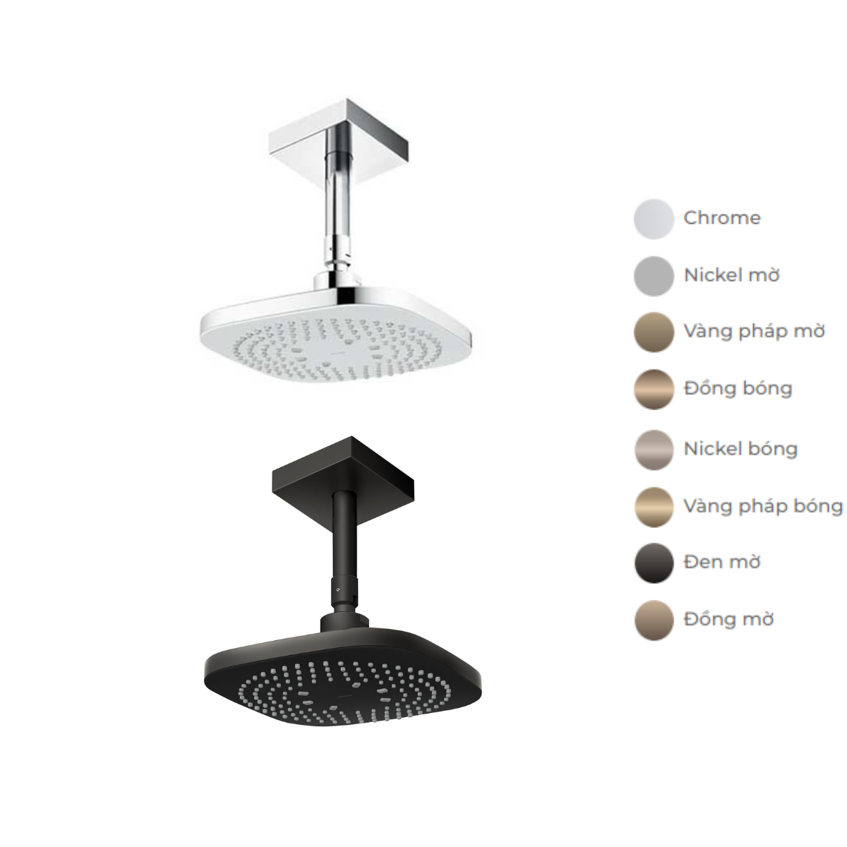 Bát sen tắm gắn trần TOTO TBW02003B1A (vuông, 210mm) TBW02003B1A