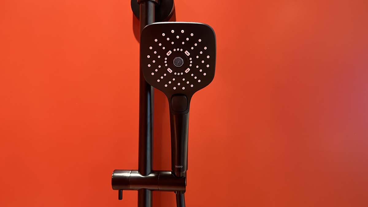 Tay sen tắm 3 chế độ TOTO TBW02006A TBW02006A - 4