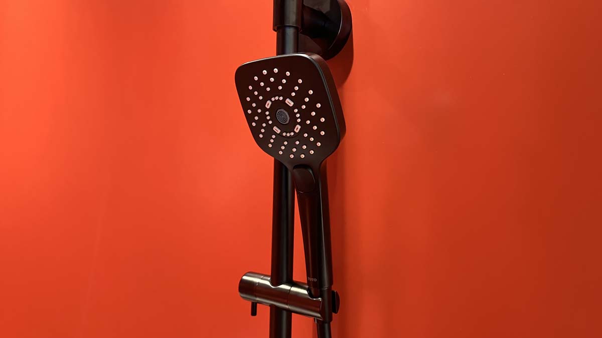 Tay sen tắm 3 chế độ TOTO TBW02006A TBW02006A - 3