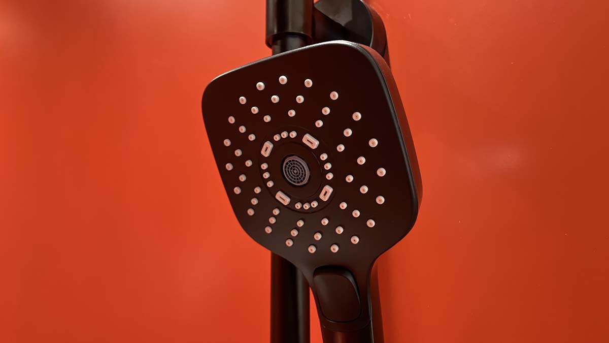 Tay sen tắm 3 chế độ TOTO TBW02006A TBW02006A - 5