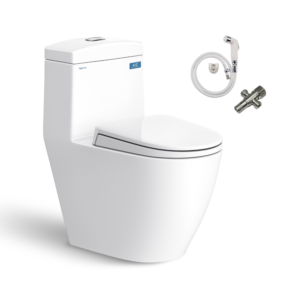 Bồn cầu 1 khối Viglacera V199 nắp êm (+ vòi xịt VG826 & van VG853) V199