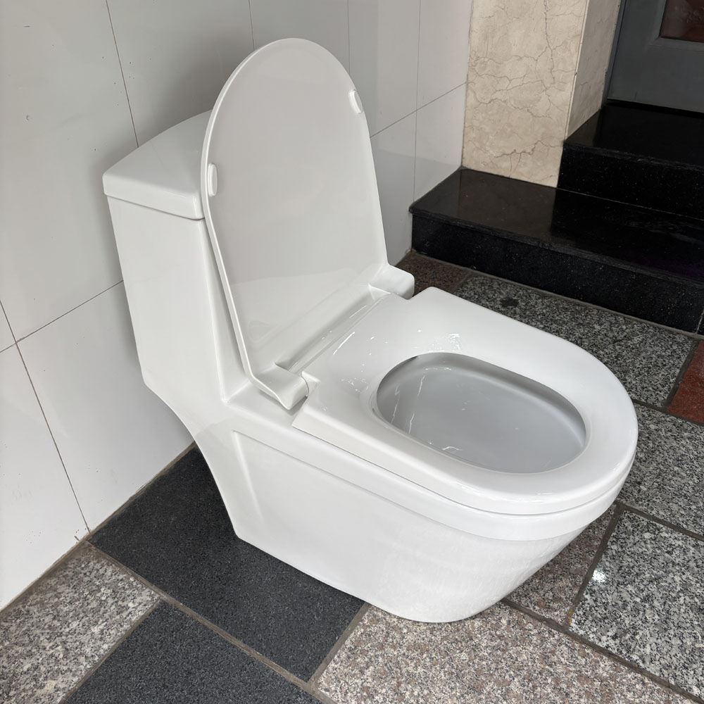 Bồn cầu 1 khối Viglacera V35M nắp êm xả xoáy (+ vòi xịt VG826) V35M - 6