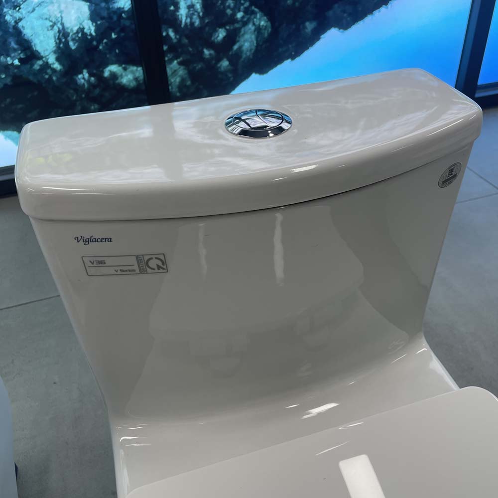 Bồn cầu 1 khối Viglacera V36 nắp êm (+ vòi xịt VG826) V36 - 3