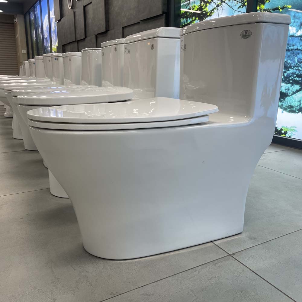 Bồn cầu 1 khối Viglacera V36 nắp êm (+ vòi xịt VG826) V36 - 5