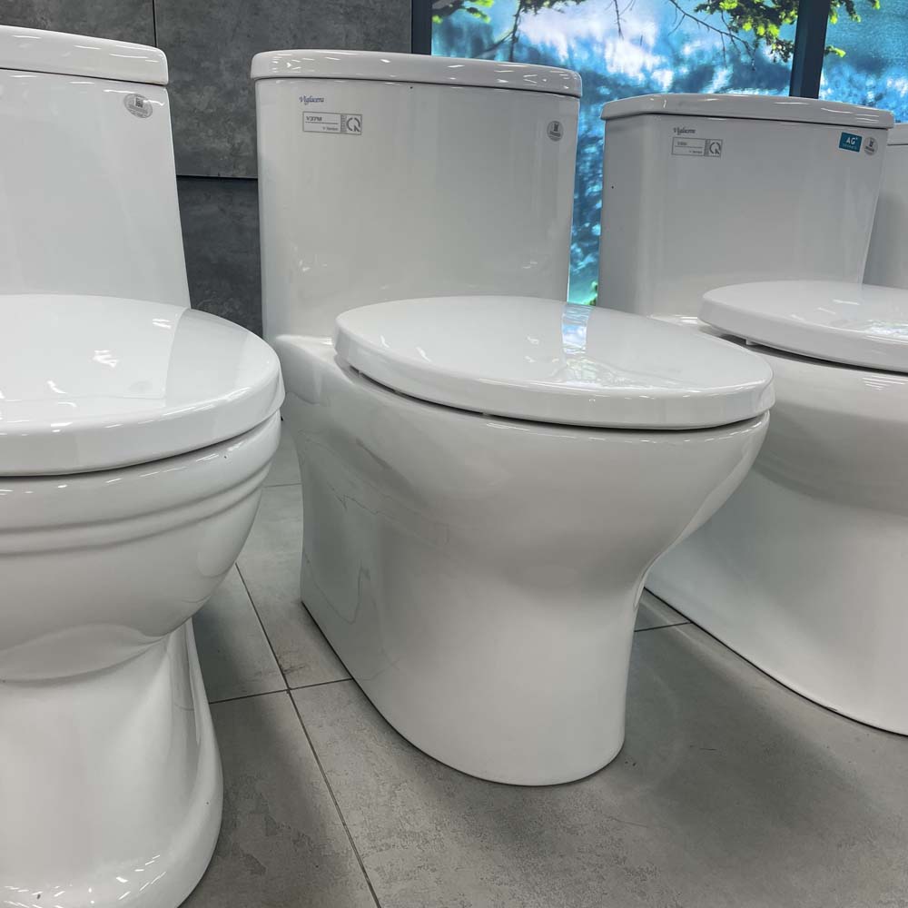 Bồn cầu 1 khối Viglacera V37M nắp êm (+ vòi xịt VG826) V37M - 5