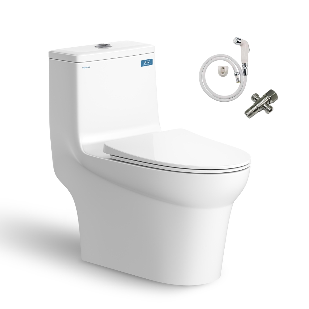 Bồn cầu 1 khối Viglacera V65 nắp êm (+ vòi xịt VG826 & van VG853) V65