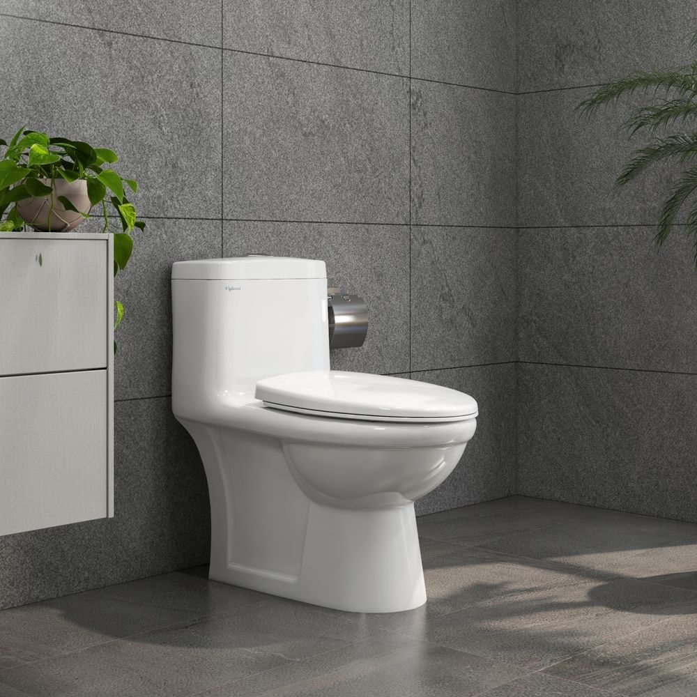 Bồn cầu 1 khối Viglacera BL5 nắp êm xả thẳng (+ vòi xịt VG826) BL5 - 4