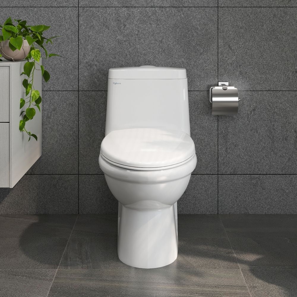 Bồn cầu 1 khối Viglacera BL5 nắp êm xả thẳng (+ vòi xịt VG826) BL5 - 5