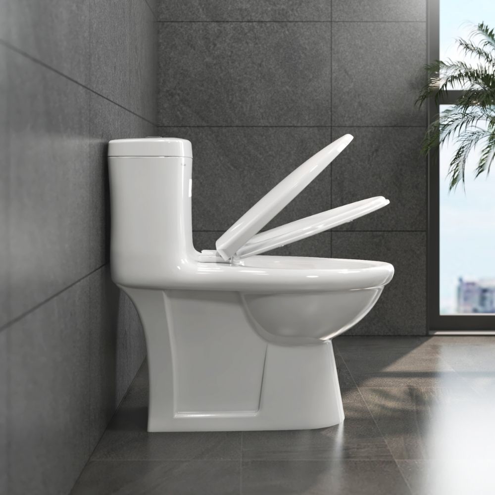 Bồn cầu 1 khối Viglacera BL5 nắp êm xả thẳng (+ vòi xịt VG826) BL5 - 6