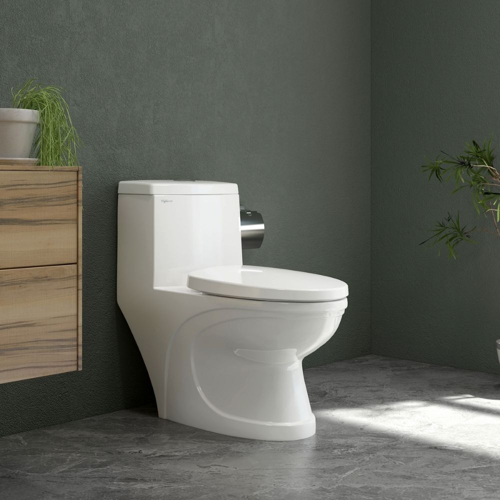 Bồn cầu 1 khối Viglacera V39M nắp êm xả xoáy (+ vòi xịt VG826) V39M - 3