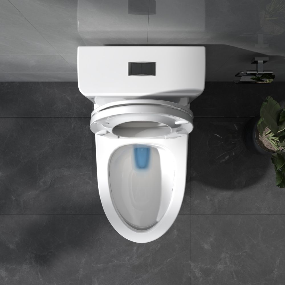 Bồn cầu 1 khối Viglacera V64 nắp êm (+ vòi xịt VG826 & van VG853) V64 - 6