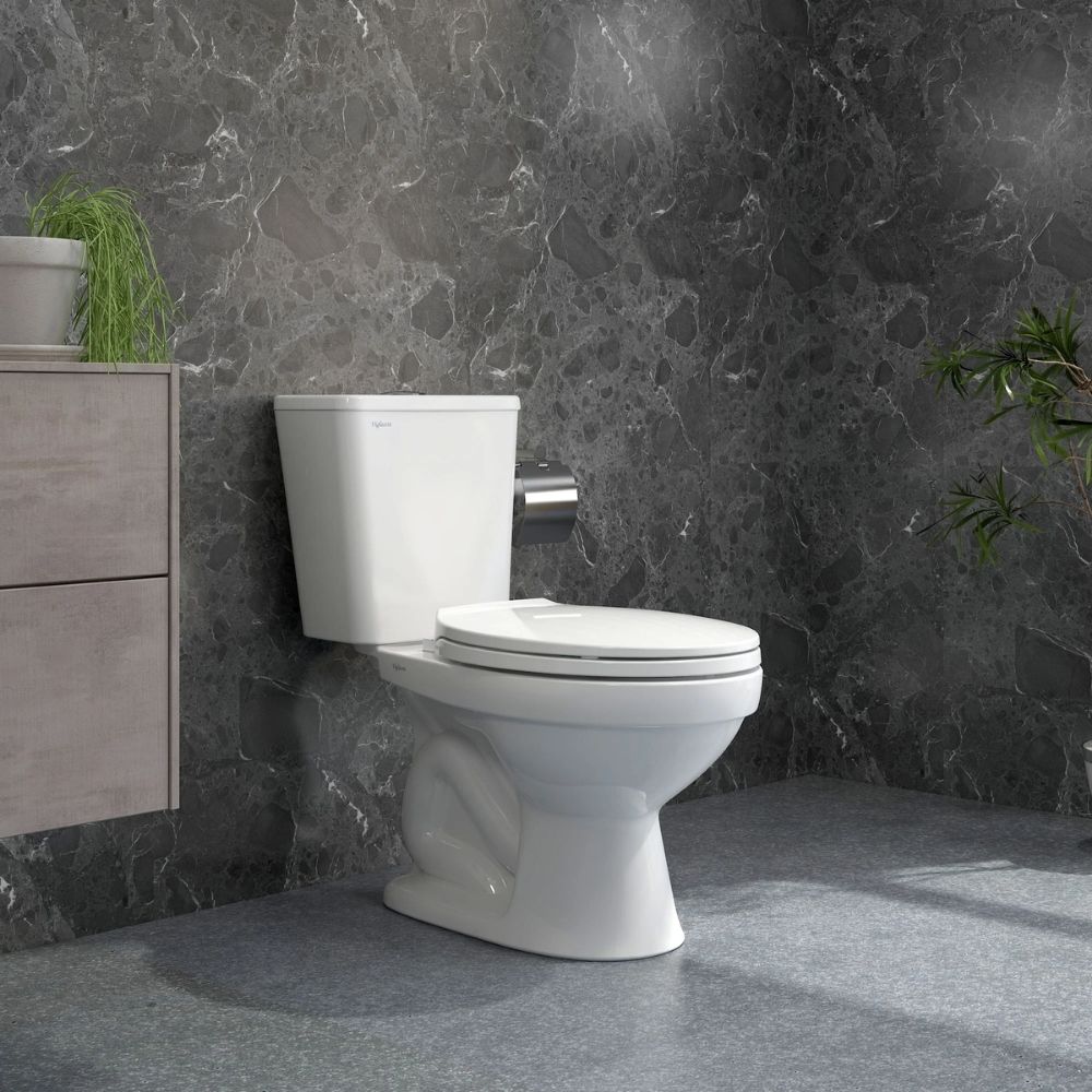 Bồn cầu 2 khối Viglacera VT34 nắp thường / nắp êm VT34 (NAP V1102) - 3